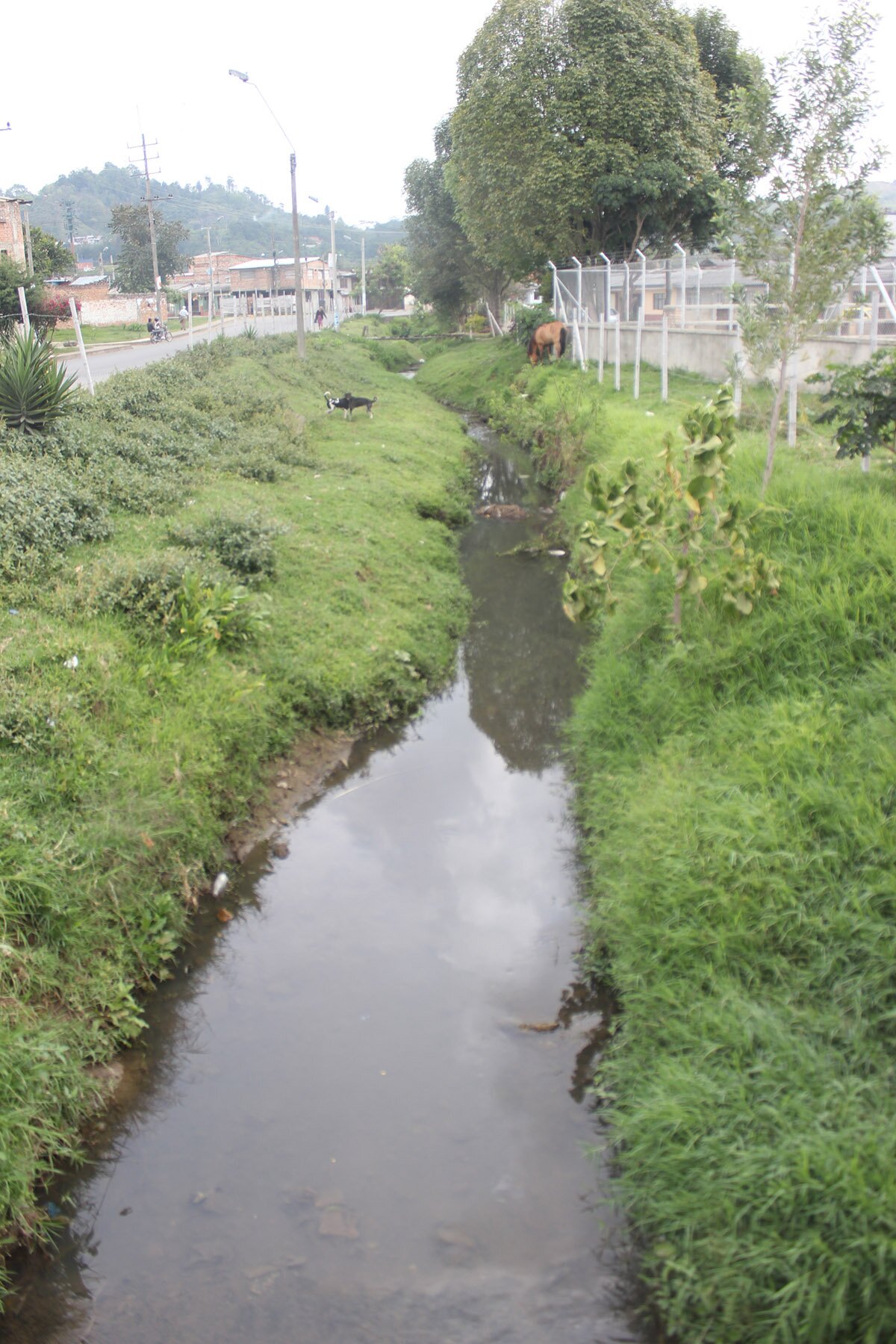 Recuperación de las cuencas como El Río Ejido hacen parte del proyecto / Imagen suministrada. 